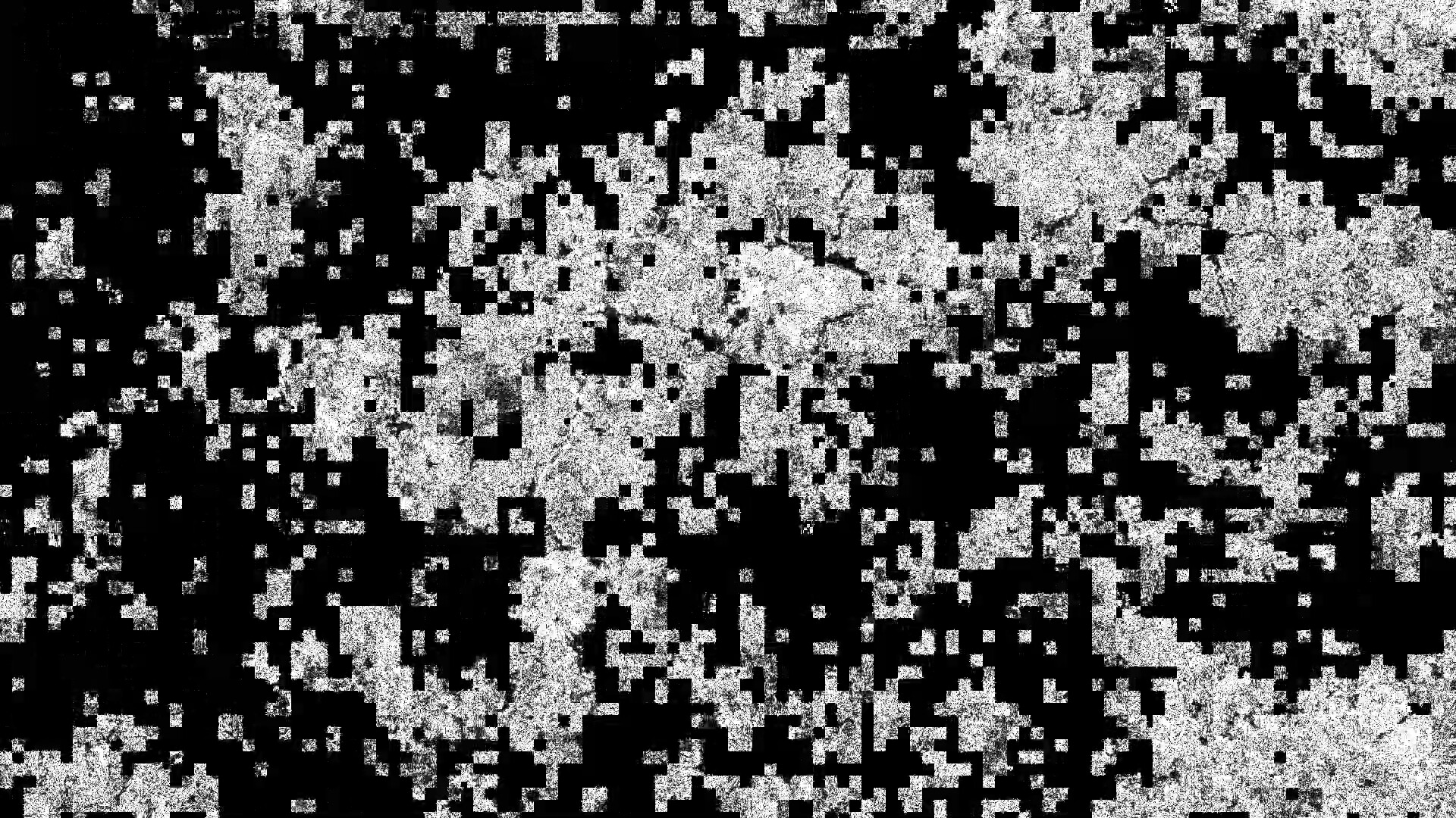 Still from DECAY: forest canopy seen from above, broken into black blocks of compression artifacts