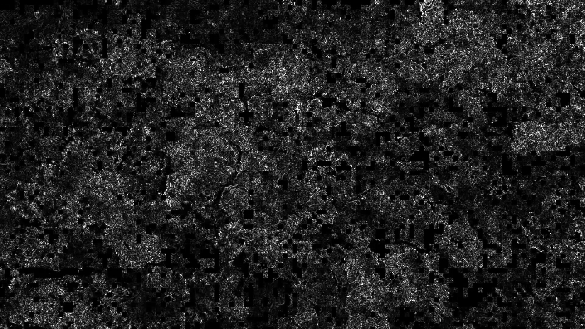 Still from DECAY: dark forest canopy seen from above, lightly corrupted